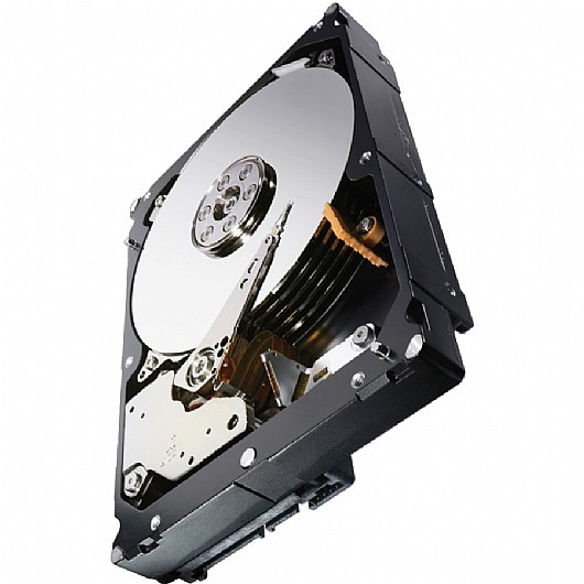 ���� ���� ����� Seagate 1TB ST1000NM0033