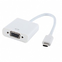 ���� Protec DM110 TYPE C TO VGA