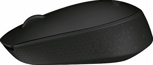 ���� ������ LogiTech M171
