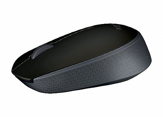 ���� ������ LogiTech B170