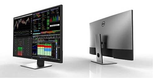 ��� ���� Dell P4317Q �43 ������ ��