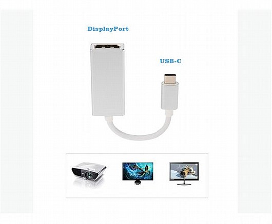 ���� ����� PROTEC TYPE-C DM184 TO MINI DP