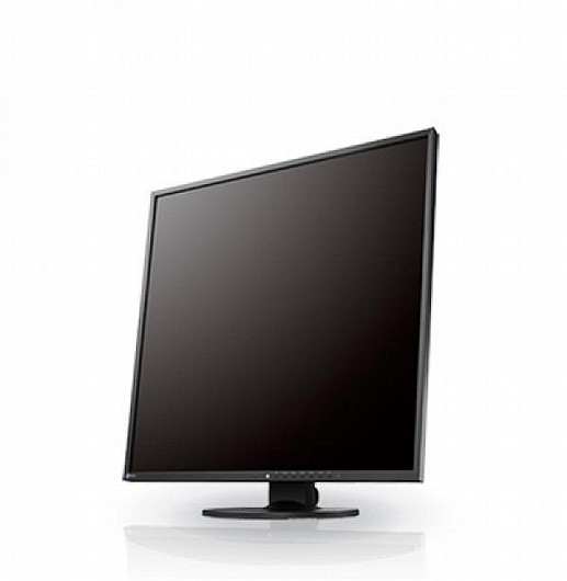 ��� ���� Eizo FlexScan S2133 �21.3 ������