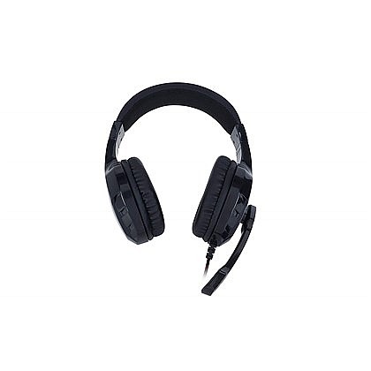 ������� ������� Zalman ZMHPS300