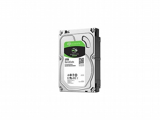 ����� ���� ������ Seagate ST3000DM007 3000GB