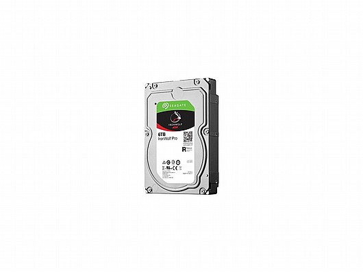 ����� ���� ������ Seagate Ironwolf Pro ST2000NE0025 2000GB