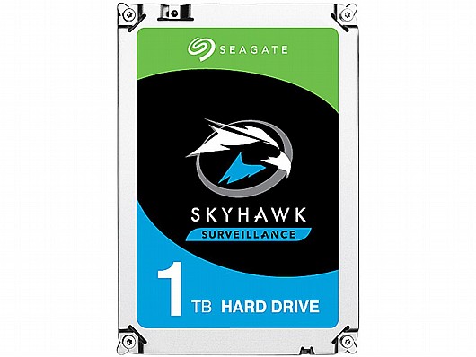 ����� ���� ������ Seagate SkyHawk ST10000VX0004 10000GB