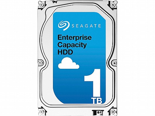 ����� ���� ������ Seagate Enterprise ST1000NM0045 1000GB