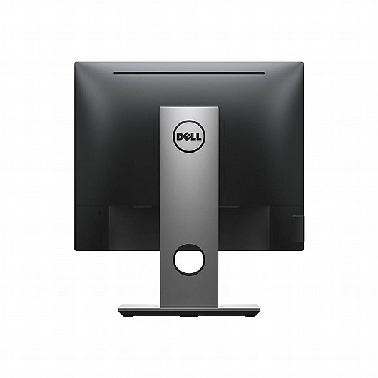 ��� ���� Dell P1917S �19 ������ ��