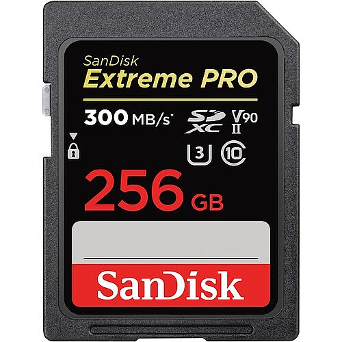 ����� ������ ������ SanDisk Extreme Pro SDSDXDK-256G 256GB SD