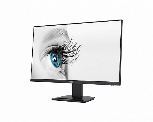 ��� ���� MSI Pro MP273