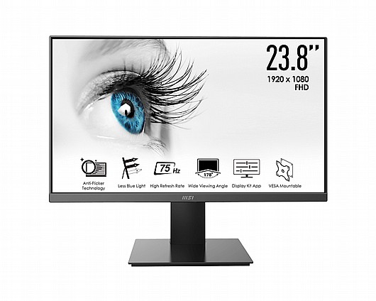 ��� ���� MSI Pro MP273