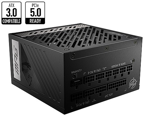 ��� �� MSI MPG A1000G PCIE5 80 PLUS GOLD