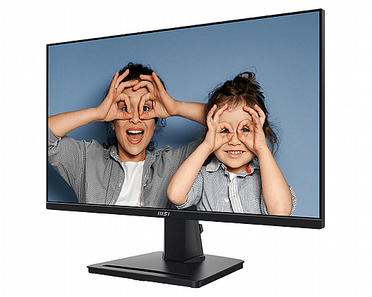 ��� ���� �24.5 ������ MSI Pro MP251 Full HD