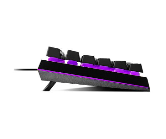 �� ���� ������� Cooler Master MS111 RGB