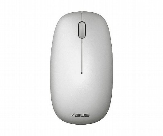 ������ ����� ������ Asus CW100 ����
