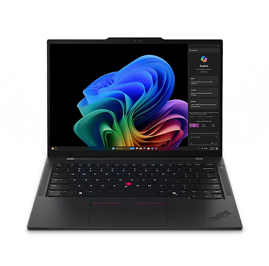 ���� ���� Lenovo ThinkPad T14s Gen 6 21N10008IV �����