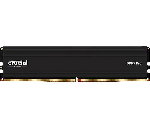 ������ ������ ���� Crucial 16GB 5600Mhz CT16G56C46U5