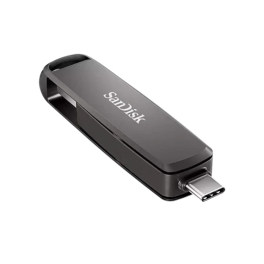 ���� ��� �� SanDisk SDDDC4-512G ������