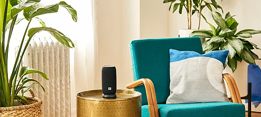 ����� ��� JBL Link Portable