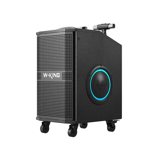������� + 2 ���������� ��� K21SE 120W ���� W-KING