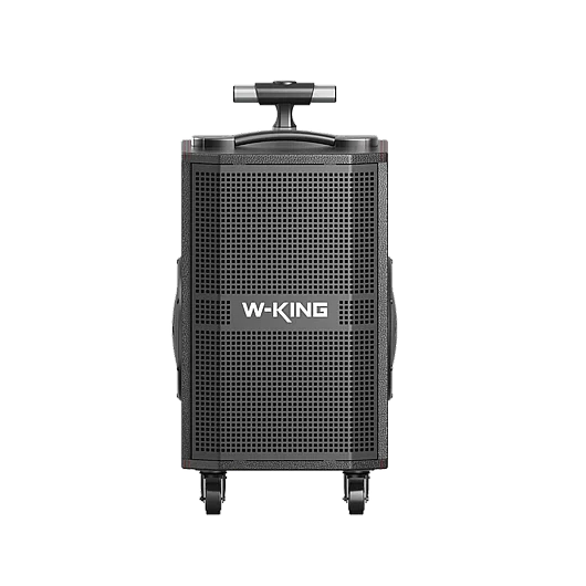 ������� + 2 ���������� ��� K21SE 120W ���� W-KING