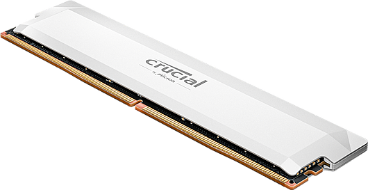 ������ ������ ���� Crucial Pro DDR5 6000MHZ 16GB CP16G60C36U5W