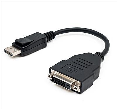 ���� Displayport  ��� �-dvi ����